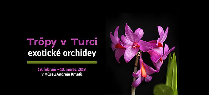 Trópy v Turci - exotické orchidey