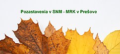 Pozastavenia v SNM-MRK v Prešove